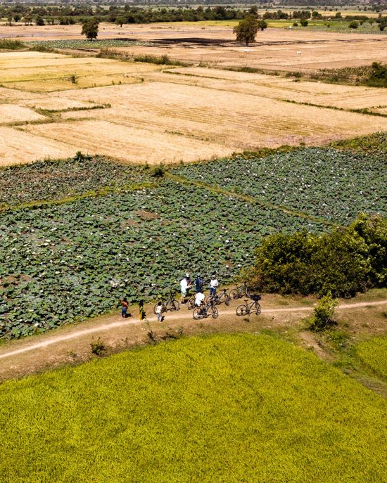Monde aquatique du Cambodge de Siem Reap: activities: Biking Excursion