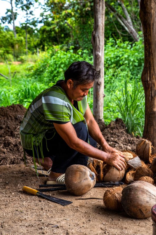 The Bush Camp Chiang Mai - 3 jours: activities: Coconut