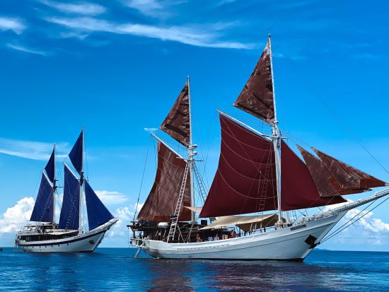 Kreuzfahrt zu den Komodo-Waranen ab Labuan Bajo: Katharina & Ombak Putih