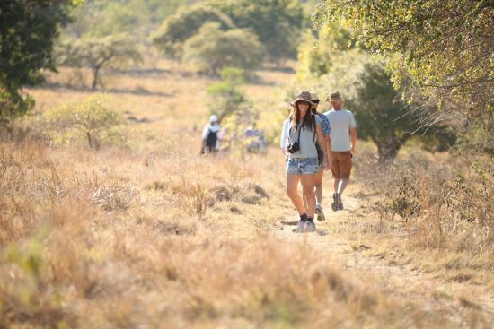 Kreuzfahrt zu den Komodo-Waranen ab Labuan Bajo: Komodo Trekking