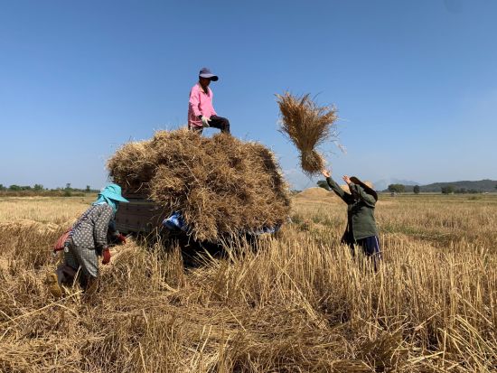La magie d'Uthai Thani de Bangkok: Farmers at work
