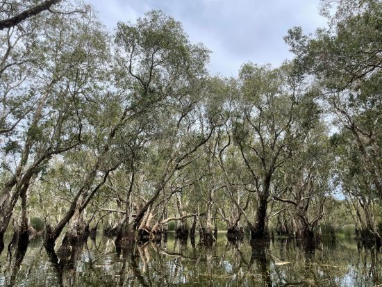 Juwel Chanthaburi ab Bangkok: Thai Everglades