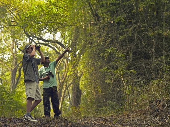 Sud sauvage du Sri Lanka de Colombo: Bird Watching