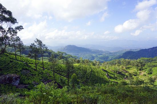 Sri Lanka riche en aventures de Colombo: location: Scenery