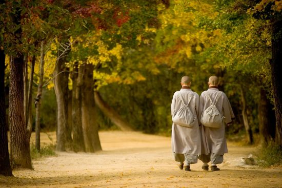 Circuit en groupe «Contrastes de la Corée du Sud» de Séoul: Buseoksa monks