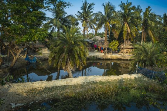 Naturparadies Sundarbans ab Kolkata: Sundarbans small village