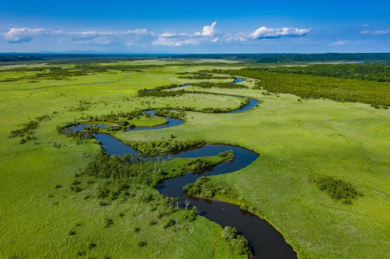 Circuit en voiture de location «Hokkaido compacte» de Sapporo: Aerial view of Kushiro Marsh