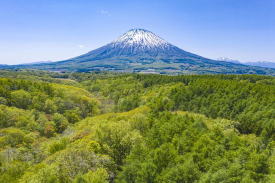 Circuit en voiture de location «Hokkaido Intensive» de Sapporo: Beautiful Scenery of Mt. Yotei