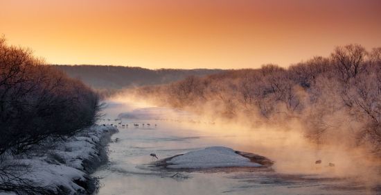 Découverte active de la magie de l'hiver à Hokkaido de Kushiro: Cranes at Kushiro River