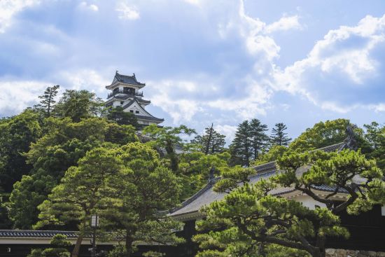 Shikoku – Japans stille Seite ab Takamatsu: Kochi castle during summer