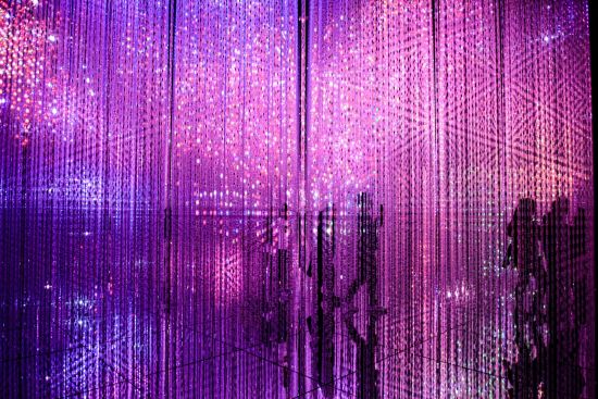 Familienabenteuer Japan ab Tokio: A unique art installation at teamLab Tokyo