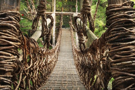 Circuits en voiture de location «Shikoku magique» de Osaka: Amazing Iya Valley Vine Bridge