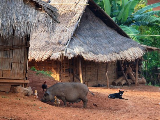 Laos im Rhythmus des Mekong (flussaufwärts) ab Luang Prabang: Traditional Khmu village