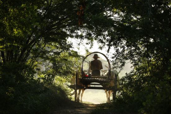 Le Cambodge pour explorateurs de Siem Reap: Ox carts in the countryside