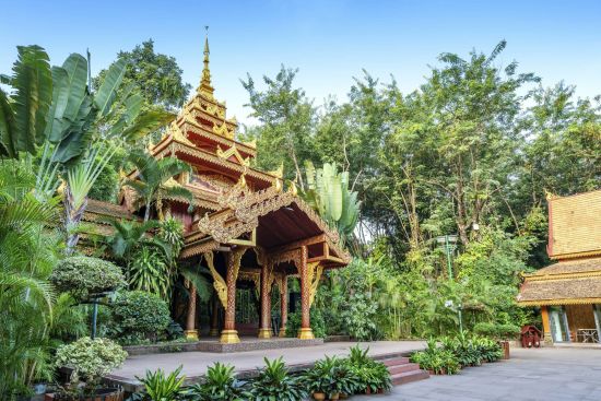 Laos - Yunnan: sur les rails entre deux mondes de Luang Prabang: Jinghong Manting Park