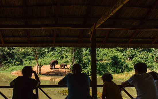 Im Reich der Elefanten ab Luang Prabang: Nursery observation deck