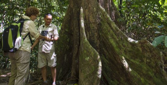 Gaya Island Resort in Kota Kinabalu:  Resident Naturalist