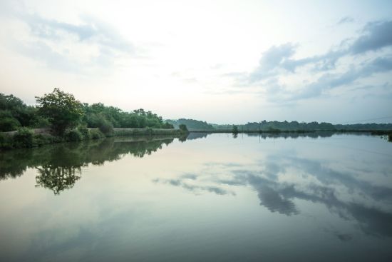 Mercure Goa Devaaya Retreat:  Surrounding