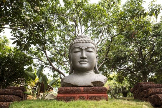 Mercure Goa Devaaya Retreat:  Buddha Statue
