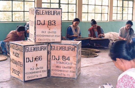 Glenburn Tea Estate à Darjeeling:  Tea Chests