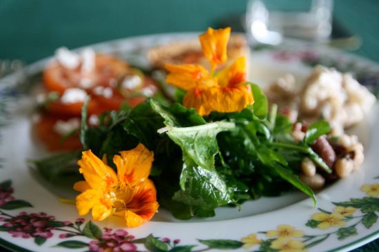 Glenburn Tea Estate à Darjeeling:  Gourmet Glenburn