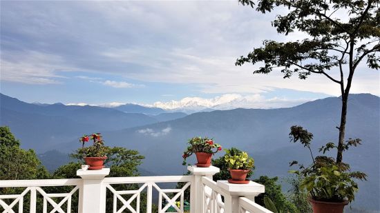 Glenburn Tea Estate à Darjeeling:  Glenburn Tea Estate