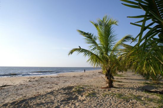Marari Beach Resort à Mararikulam:  Mararikulam Beach