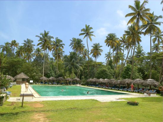 Marari Beach Resort à Mararikulam: pool: 