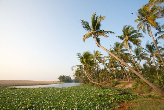Neeleshwar Hermitage:  Beach