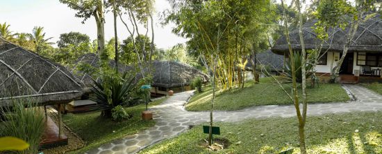Spice Village in Thekkady: Walkways