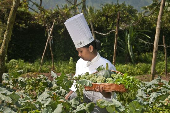 Spice Village in Thekkady: Organic Farm