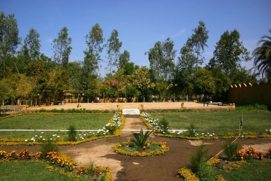 Tiger's Den Resort à Bandhavgarh:  Garden