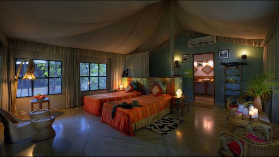 Pench Jungle Camp:  Luxury Tent