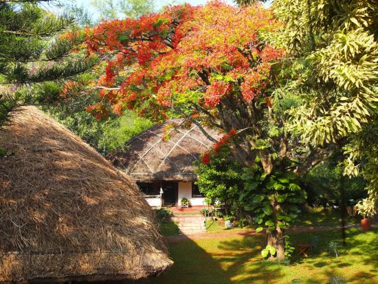 Spice Village in Thekkady: Garden