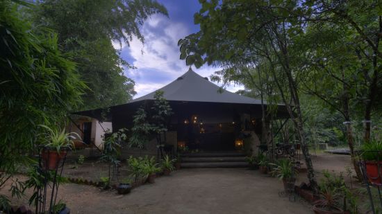 Pench Jungle Camp:  Luxury Tent