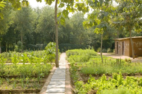 Aman-i-Khas in Ranthambore:  Organic Garden