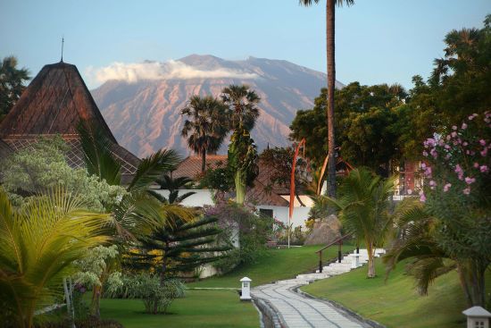 Siddhartha Oceanfront Resort & Spa à Ouest de Bali:  Garden