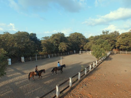 The Menjangan à Nord de Bali:  Horseback riding practice arena
