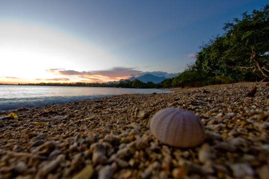 The Menjangan à Nord de Bali:  Sentigi Beach