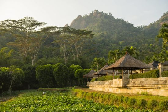 Amanjiwo in Yogyakarta:  Bales and Rice Fields