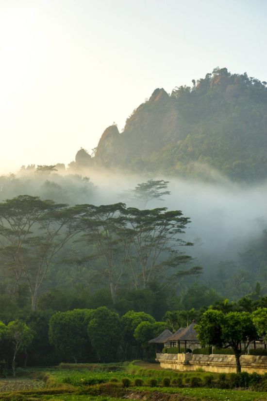 Amanjiwo in Yogyakarta:  Paddy Fields, Jungle and Morning Mist