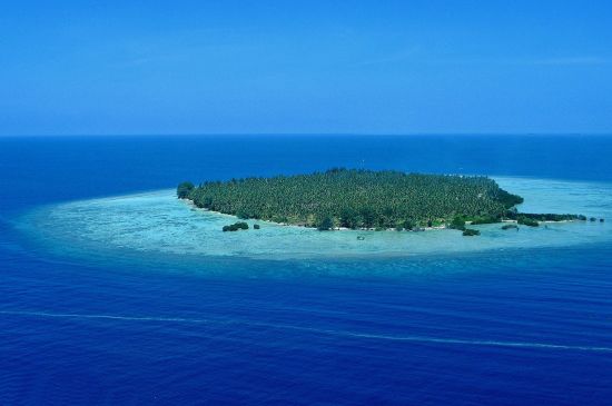 Kura Kura Resort in Karimunjawa: Menjawakan Island with Kura Kura Resort