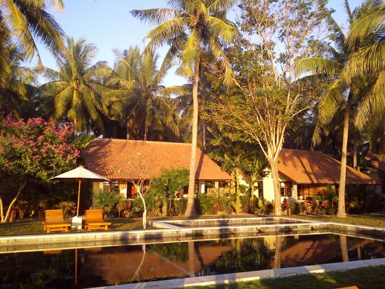 Cocotinos Sekotong in Lombok:  Swimming pool