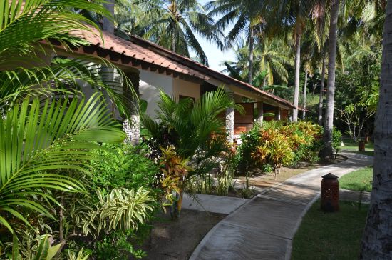 Cocotinos Sekotong in Lombok:  Garden Room Gardenview
