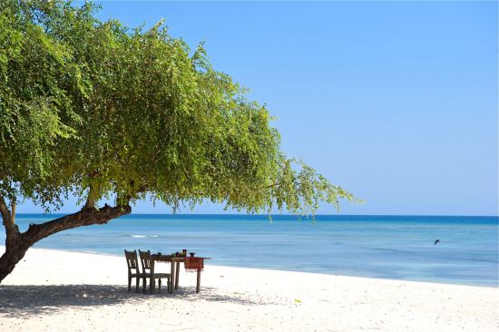 Tugu Lombok:  Sire Beach - Front Lawn