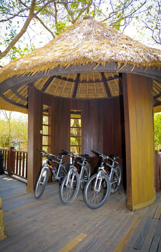 The Menjangan à Nord de Bali:  Bicycle
