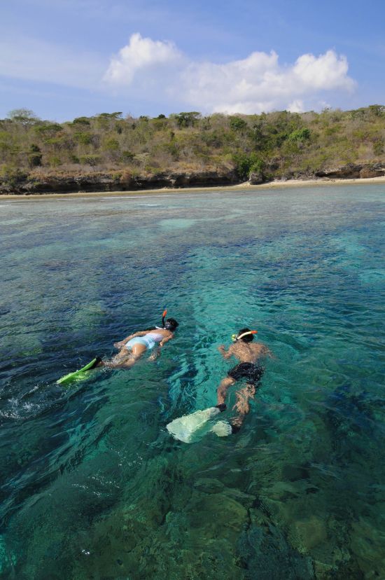 The Menjangan à Nord de Bali:  Snorkeling