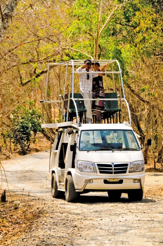 The Menjangan à Nord de Bali:  Double Decker Resort Car