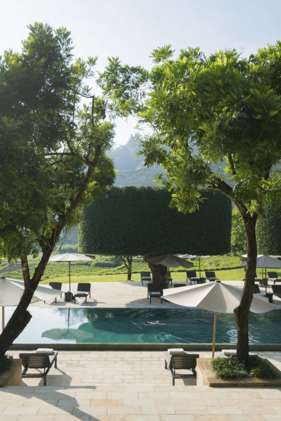 Amanjiwo in Yogyakarta:   Pool Club