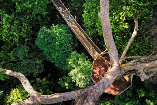 The Datai Langkawi:  Canopy Walk
